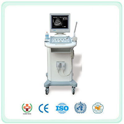 S3018 Convex Probe Standard Digital Ultrasound Scanner